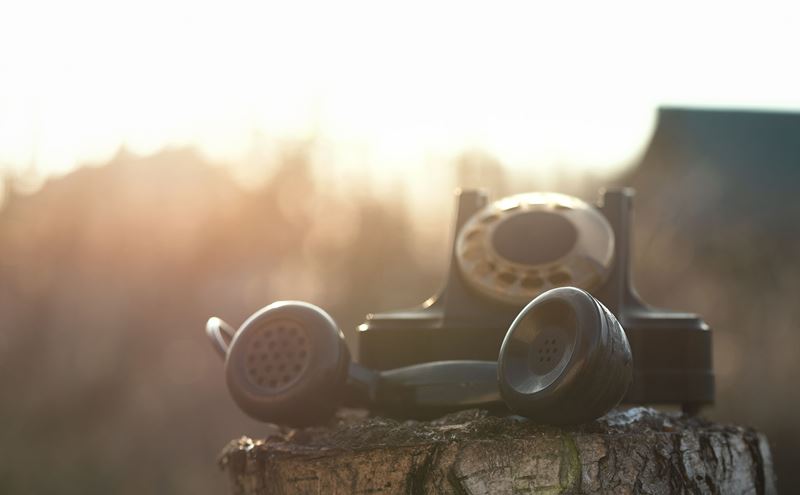 rotary phone on tree stump