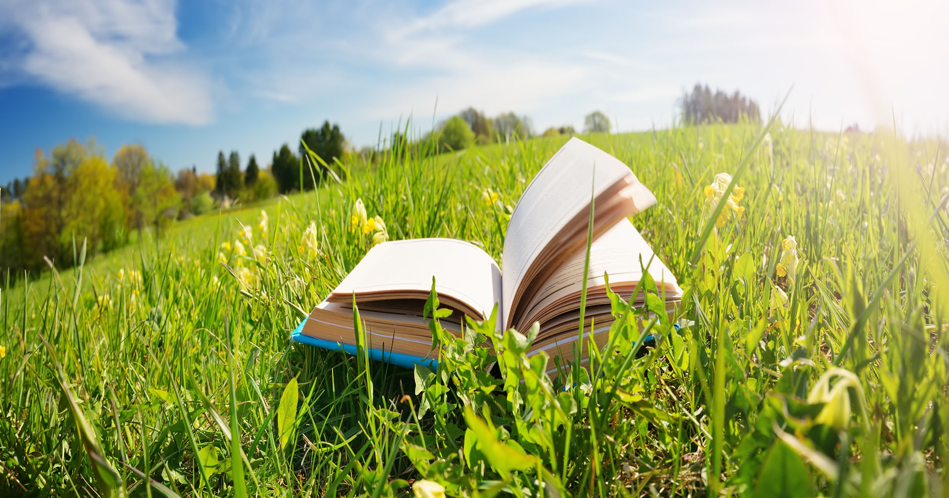 open book in field